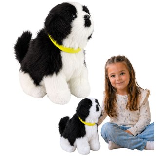 Interaktywny Pies Piesek Border Collie Pluszowy Szczeka Rusza Ogonem
