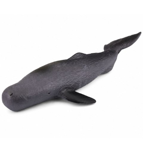 Ryba Gumowa Waleń Figurka Rozciągliwa Realistyczna Ssak Morski 18cm